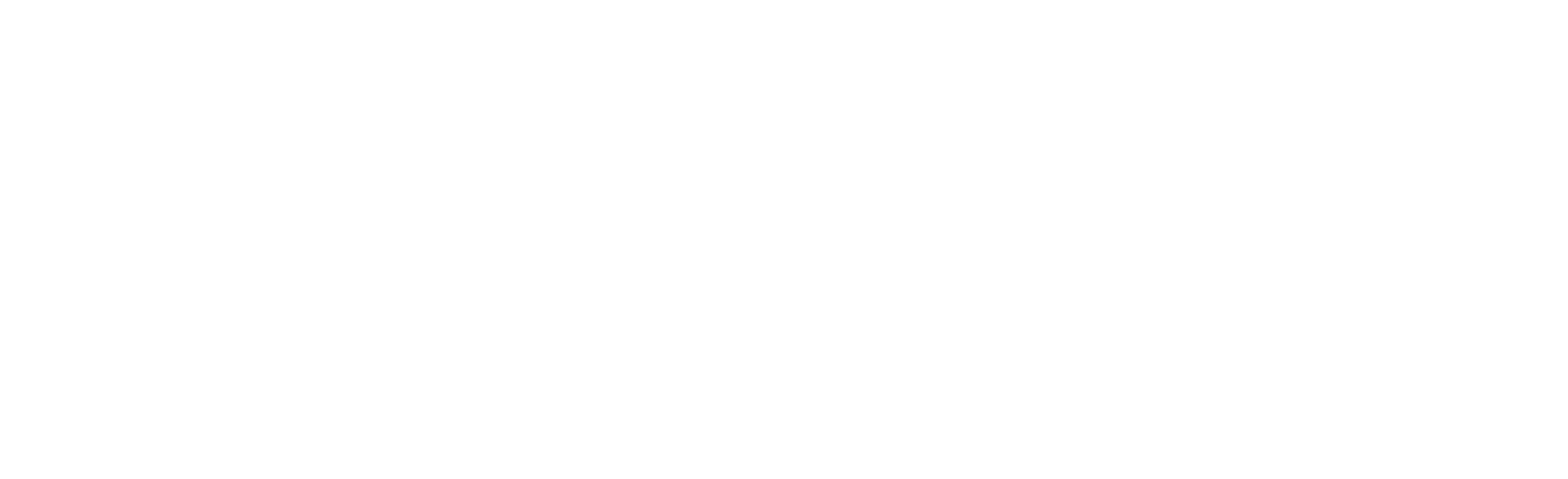 Primaris-Custom-Homes_4_White-NOBG